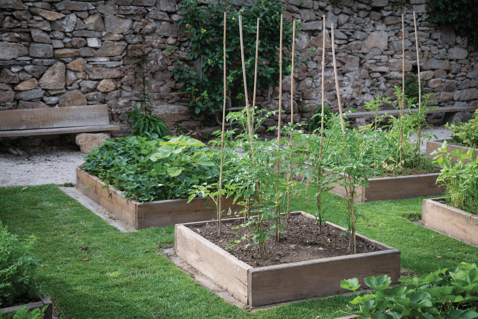 Garden Beds