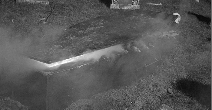 Halloween coffin filled with fog